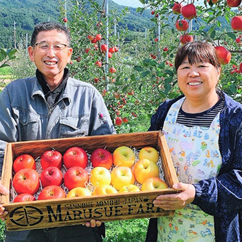 丸末果樹園のページはこちら