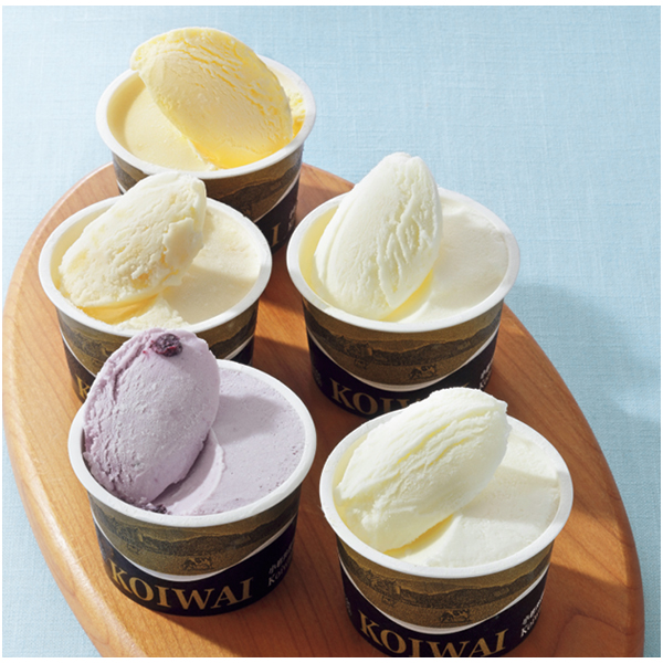 【小岩井農場】自家製アイスクリーム10個セットの商品画像