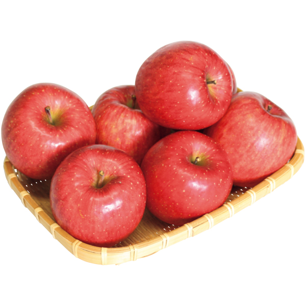 早得_送料込《web限定》山形県南陽市産 わけありサンふじりんごの商品画像