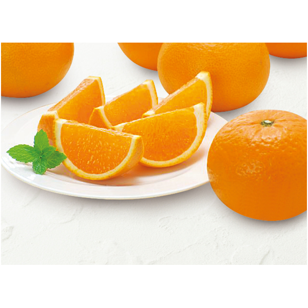 送料込 《母の日》【愛媛県産】 蜜る清見オレンジの商品画像