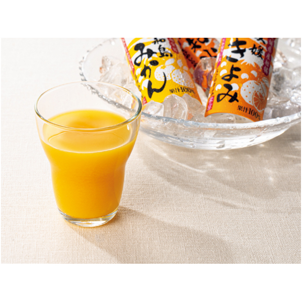 早得_【愛工房】 愛媛県産柑橘ジュースセット（紙容器）の商品画像
