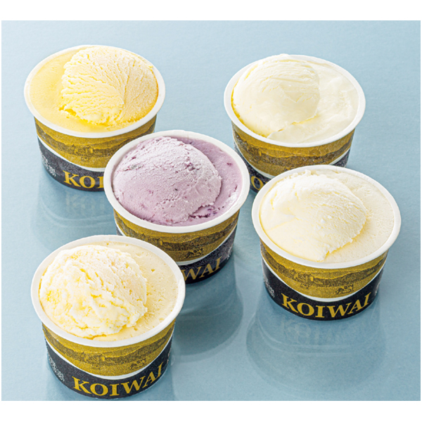 送料込 【小岩井農場】 自家製アイスクリーム10個セットの商品画像