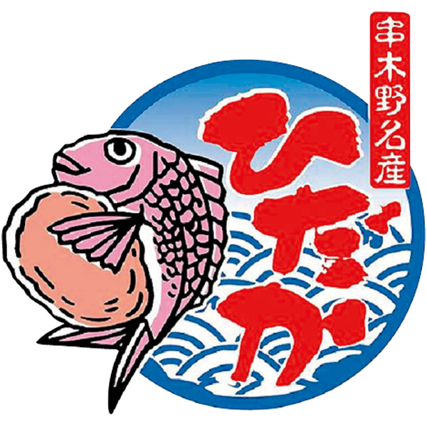 早得_送料込 【日高水産加工】 鹿児島 ひだかつけあげ 詰合せの商品画像 (2)