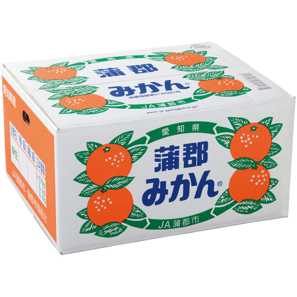 送料込 《web限定》【愛知県産】 蒲郡みかん10kgの商品画像 (2)