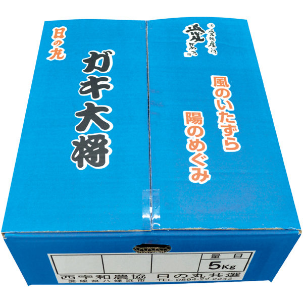 送料込 《web限定》【愛媛県産（JAにしうわ日の丸共選）】 日の丸みかん「ガキ大将」S～L 5kgの商品画像 (2)