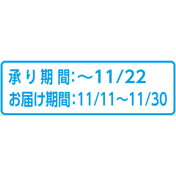 送料込 《web限定》【岡山県産】 シャインマスカット＆紫苑の商品画像 (2)