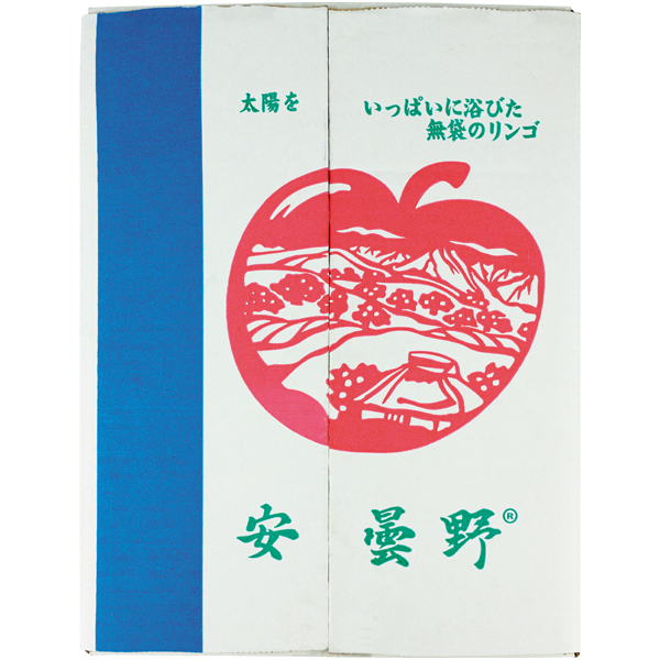 送料込 《web限定》【長野県産】 サンふじりんご＆シナノゴールドの商品画像 (2)