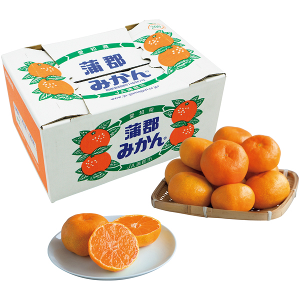 送料込 【熊本県産】 蒲郡みかんの商品画像