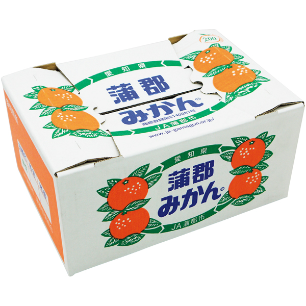 送料込 【熊本県産】 蒲郡みかんの商品画像 (3)