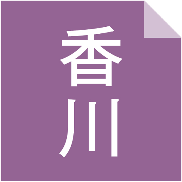 送料込 【広島海苔】 讃岐うどん詰合せ（6人前）の商品画像 (4)