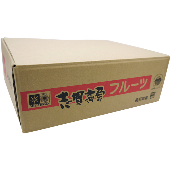 送料込 《お買い得》【長野県産】 おうち用 志賀高原のぐんま名月りんごの商品画像 (3)